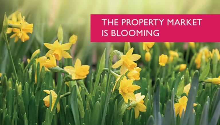 Make The Most Of Spring – It's The Selling Season!