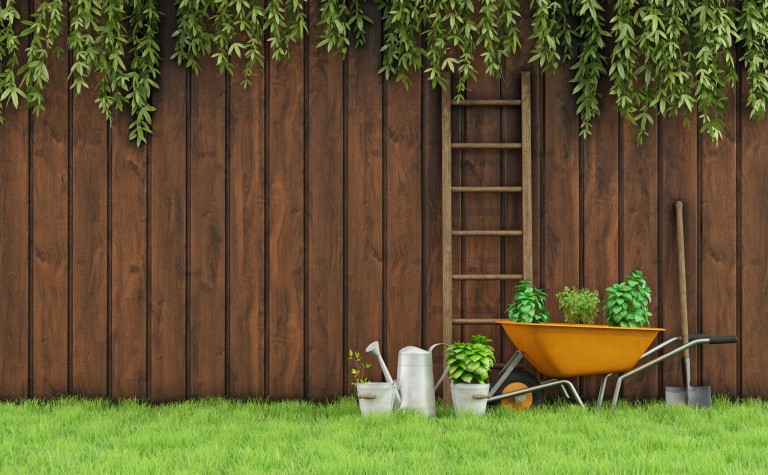 Low Maintenance Garden Ideas: Your Guide to Effortless Gardening