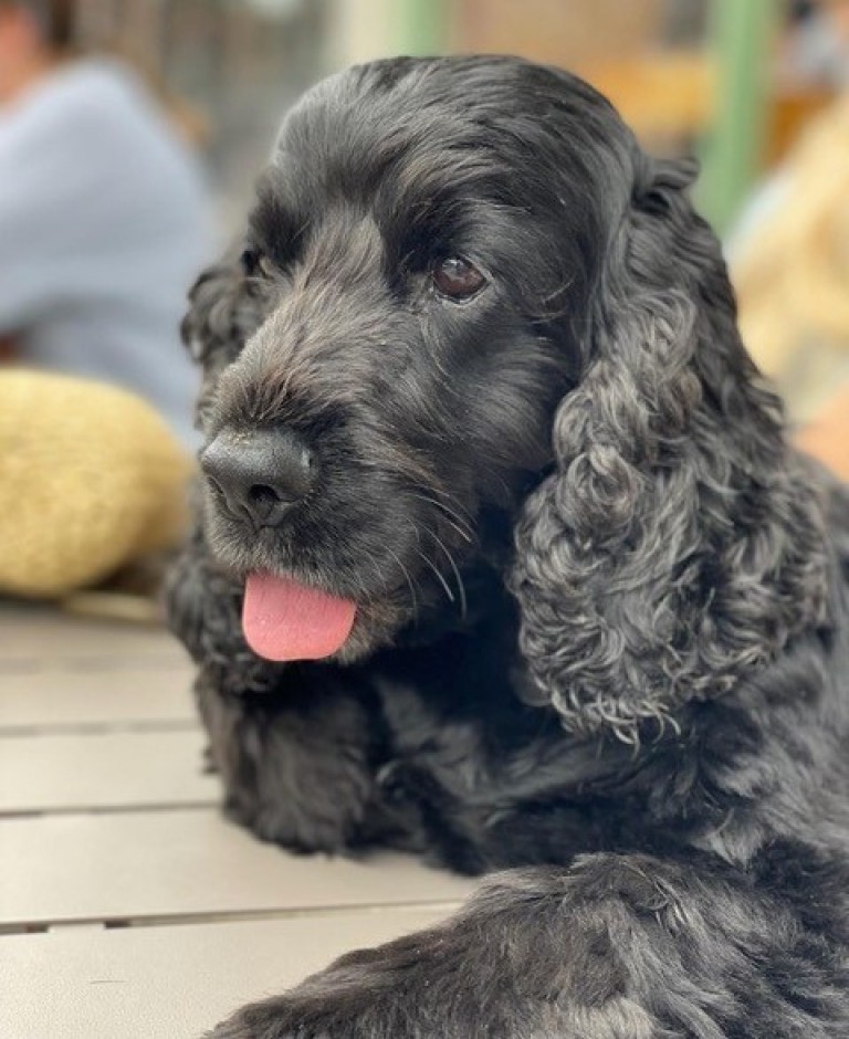 15 Old Fashioned Household Cleaning Tips that Work!